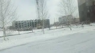 Влог: Прогулка с собакой!
