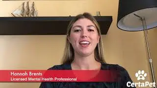 CertaPet process is simple | Get Started Today with CertaPet