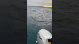4 Eylül 2024