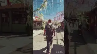 Про Краснодар мнение от жителя Крайнего Севера/ High North man’s point of view about Krasnodar