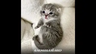 [Аллоды Онлайн] уставшие 3х3