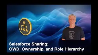 Salesforce Sharing: OWD, Ownership, and Role Hierarchy