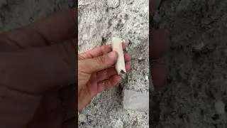 Dinosaur Bone Valley!