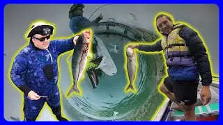 Catching some PHAT Fish with Tasman (Part 2)
