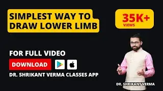 Lower Limb Anatomy : How to draw the Lower Limb in simplest way | By Dr. Shrikant Verma Classes