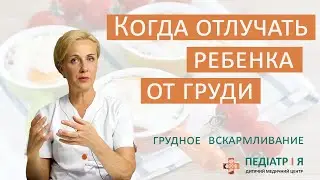 Когда отлучать ребенка от груди. Родителям о важном.
