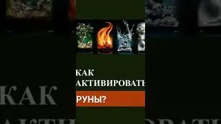 #каринатаро