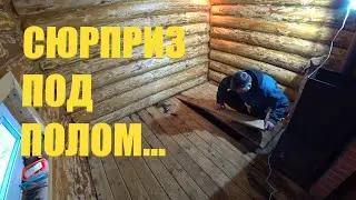 REPLACING THE FLOOR IN THE BATHHOUSE. WE FOUND AN UNEXPECTED SURPRISE UNDER THE FLOOR. NOVEMBER I...