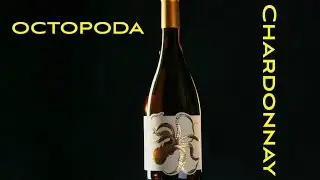 Wine Bottle B-Roll Practice | Shot on Sony FX3