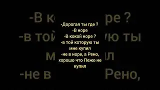 В норе