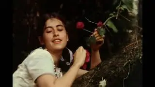 A Marvada Carne 1985 HD