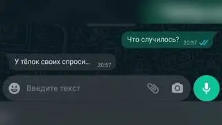 У тёлок своих спроси...