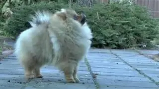 жорик 3,5 мес