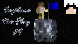 IS THIS CTF OR SKYFLAGS? /w. wolfialover - Capture the Flag #9