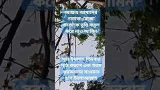 সুরা ইখলাস#shorts#short#shortsfeed