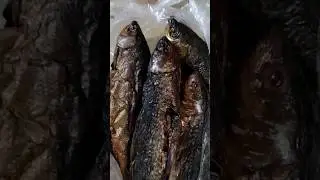 LOCAL FISH 😋#dtangumvlog #anime #music #viralreels #arunachalpradesh #indianstate
