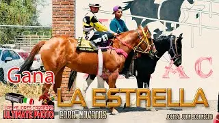 6.-La Estrella vs El Leoncito