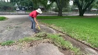 NATURE was TAKING OVER this yard - Until I SHOWED UP - Unbelievable LAWN TRANSFORMATION