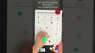Ladybug Visual Spatial Worksheet