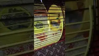 Когда начальник смотрит и не смотрит за сотрудниками