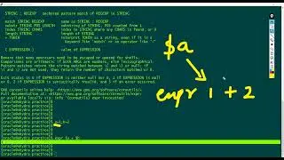 Arithmetic and Comparison Operations In Shell Script