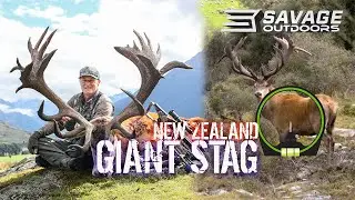 GIANT STAG in NEW ZEALAND