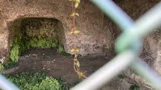 金沢区釜利谷西　やぐら