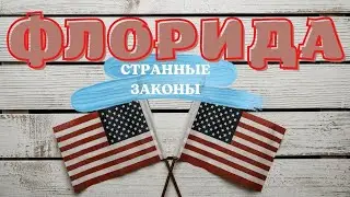 Флорида или запрет на бросание карликов в барах 