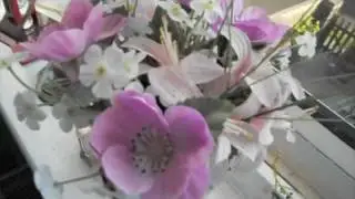 Nikon CoolPix S3000 Video Test