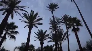 Marrakech 