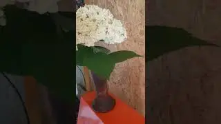 Из того что былось, из того слепилось😅😅😅