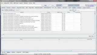 Custom Filters and Extraction in Screaming Frog