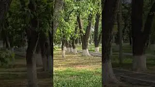 по кайфу😍