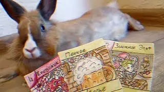 Играю в Карты с Кроликом 🐇 / ККИ / Самодельная карточная игра / Homemade TCG / Гравюра Мира
