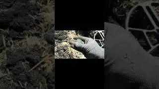 польский орден крест коп с теркой