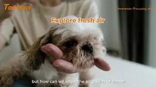 Temtop Air Quality Monitors Help You Know Indoor Air Quality Better
