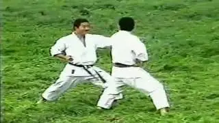 Хейан Сандан Бункай | Heian Sandan Bunkai