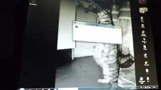 Топ игра сурвариум