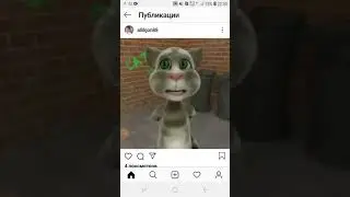 Дхтарои мехрбом мехратон дар кавристон