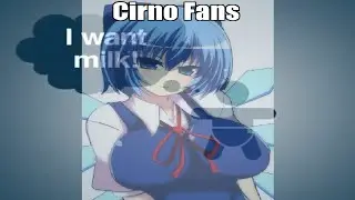 Cirno Fans Be Like