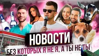#лялятополя