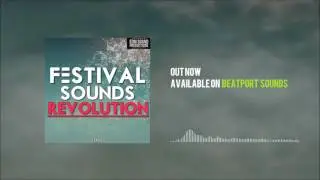 EDM Sound Productions - Festival Sounds Revolution (Sample Pack)