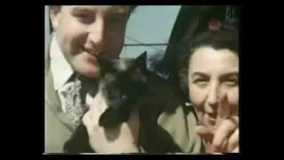 Living Famously: Peter Sellers (2003 documentary)