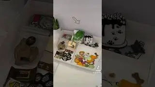 РУМ-ТУР🙌🏿 дом БУМАЖНЫХ СОБАК! 🦴
