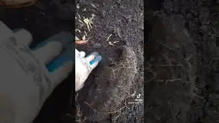 #металл#находки#шестетня#мастерская
