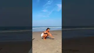 Animal Flow  Level 2 / Pop Out