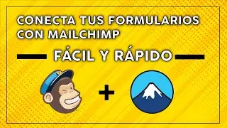 Como crear formularios de wordpress y Mailchimp