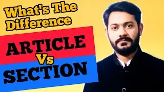 Article vs Section | What is the difference?