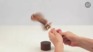 Антистресс ЗОЛОТОЕ СЕЧЕНИЕ