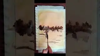sunset scenery shorts #viral #youtubeshorts #viralshorts  #ytshorts